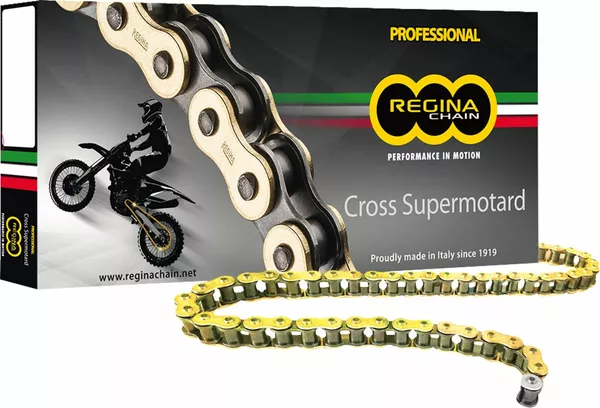 REGINA CHAIN 520RH2 GB 120C