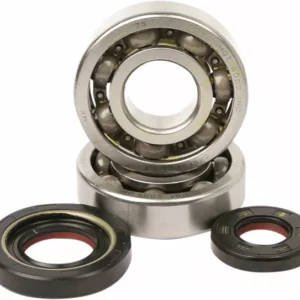 HOT RODS BEARINGS CRANK YZ250