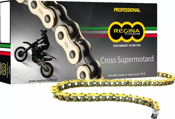 REGINA CHAIN 520RX3 GB 120C